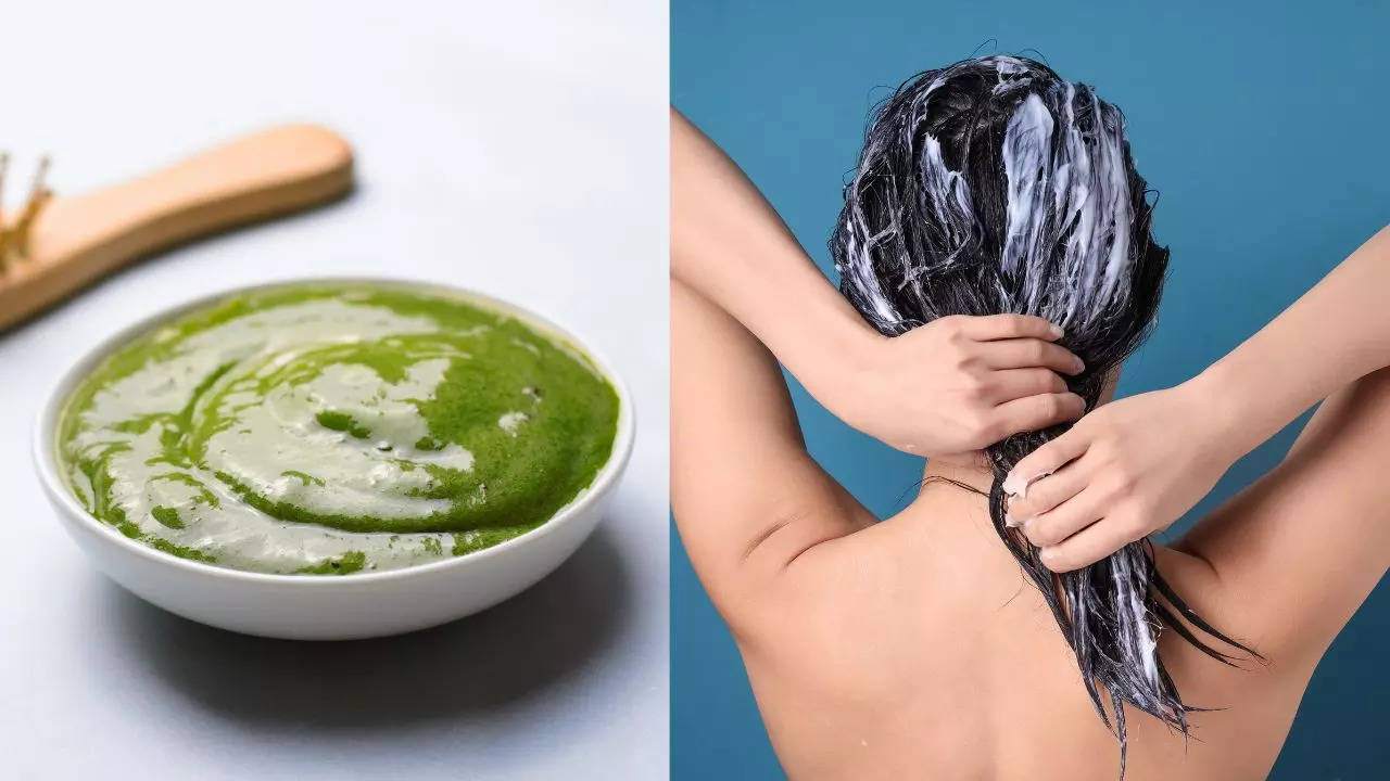 DIY Hair Mask To Control Hair Fall Remove Dryness