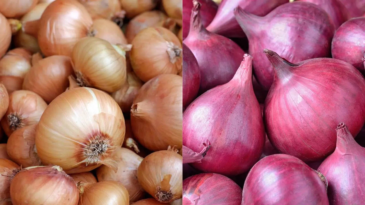 Onion export of six countries,  Onion Rabi crop, Onion Kharif crop, Onion supply