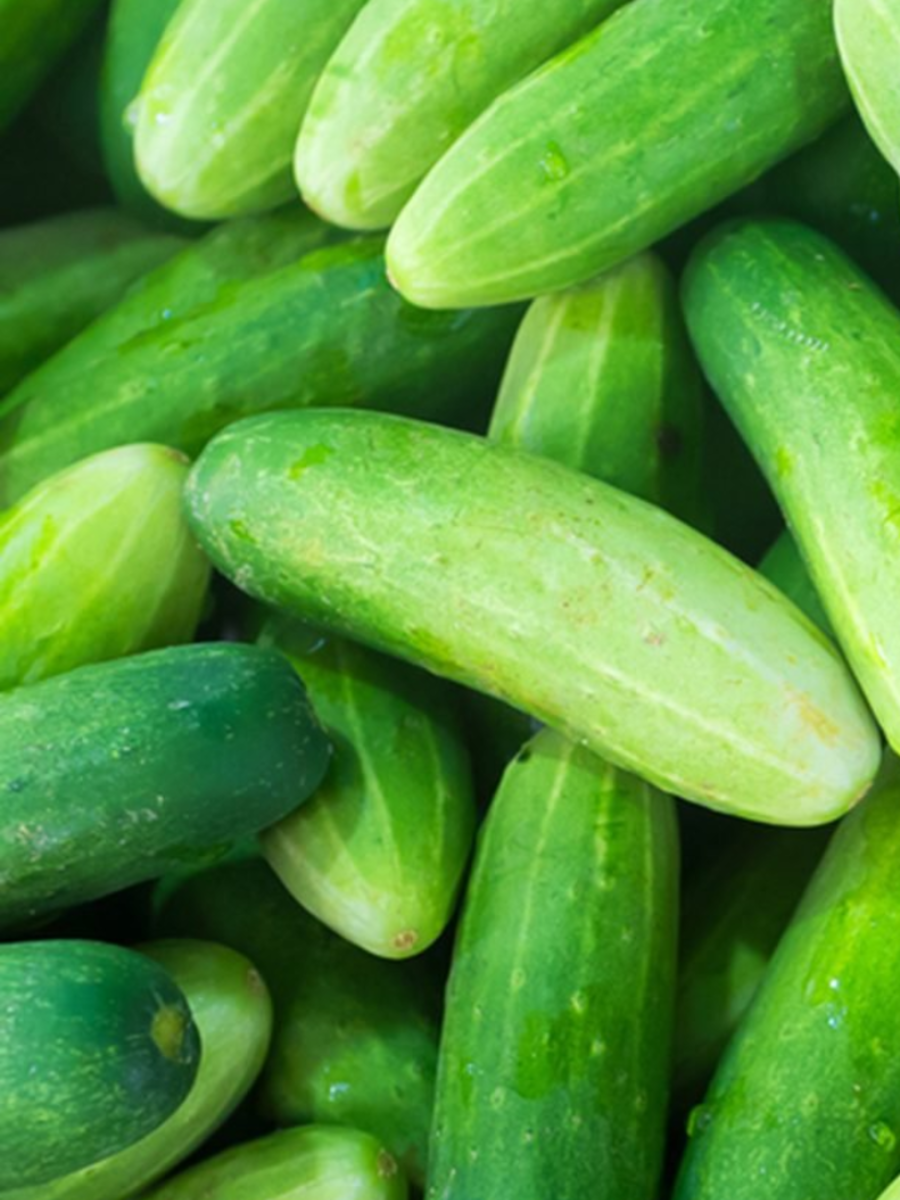 Cucumber Benefits काकडी साल काढून खावी की सालीसकट? cucumber eating