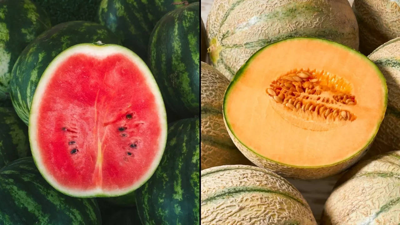 Watermelon Vs Muskmelon Which Is Healthier