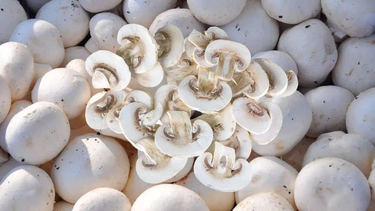 mushroom cultivation, Mushroom ki Kheti, Profit from mushroom, mushroom production