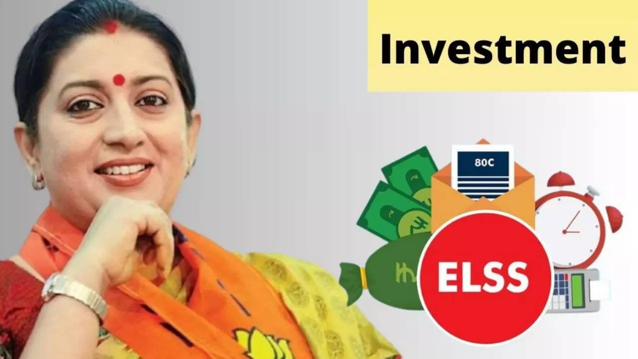 Smriti Irani Investment