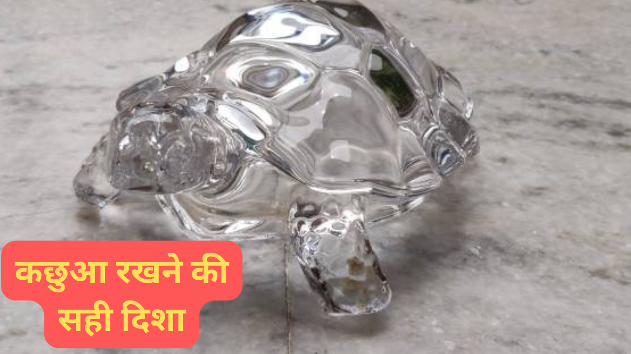 Vastu Tips For Tortoise