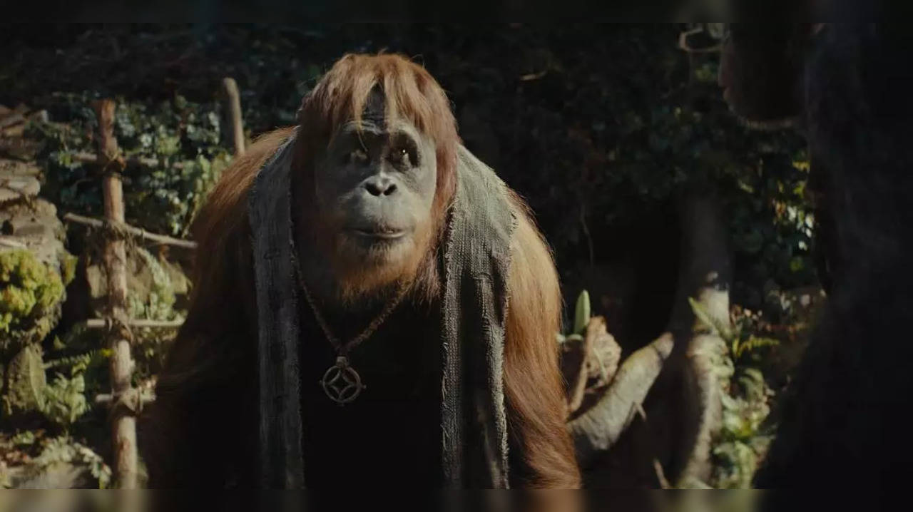 Kingdom of the Planet of the Apes Box Office Collection Day 1