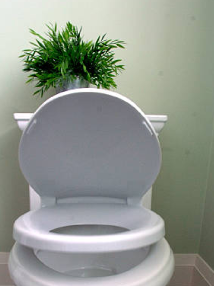 vastu tip, toilet seat direction according to vastu shastra in hindi