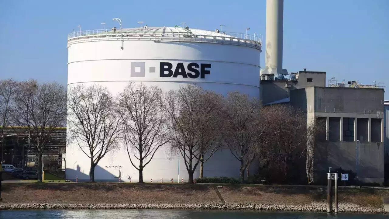 BASF India Q4 Results