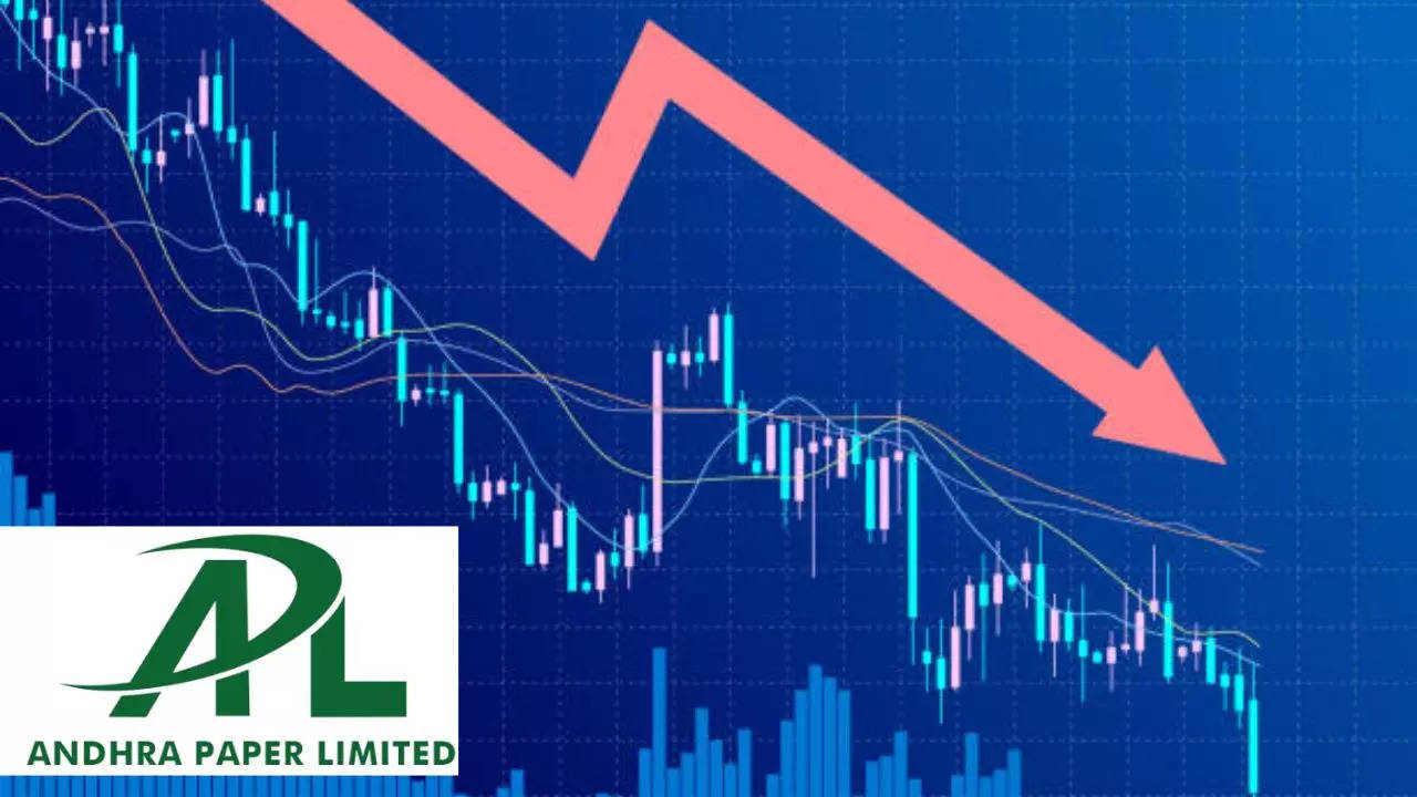 Andhra Paper Share Price