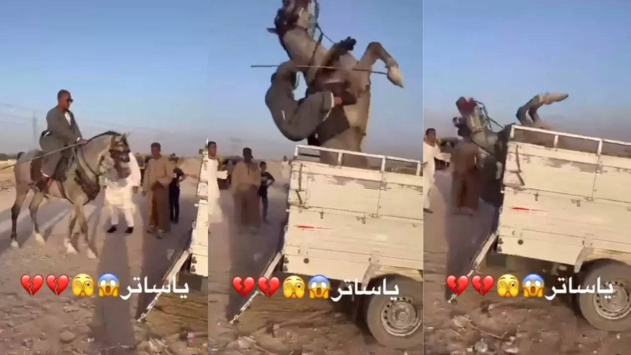 Horse Rider Falls Viral Video