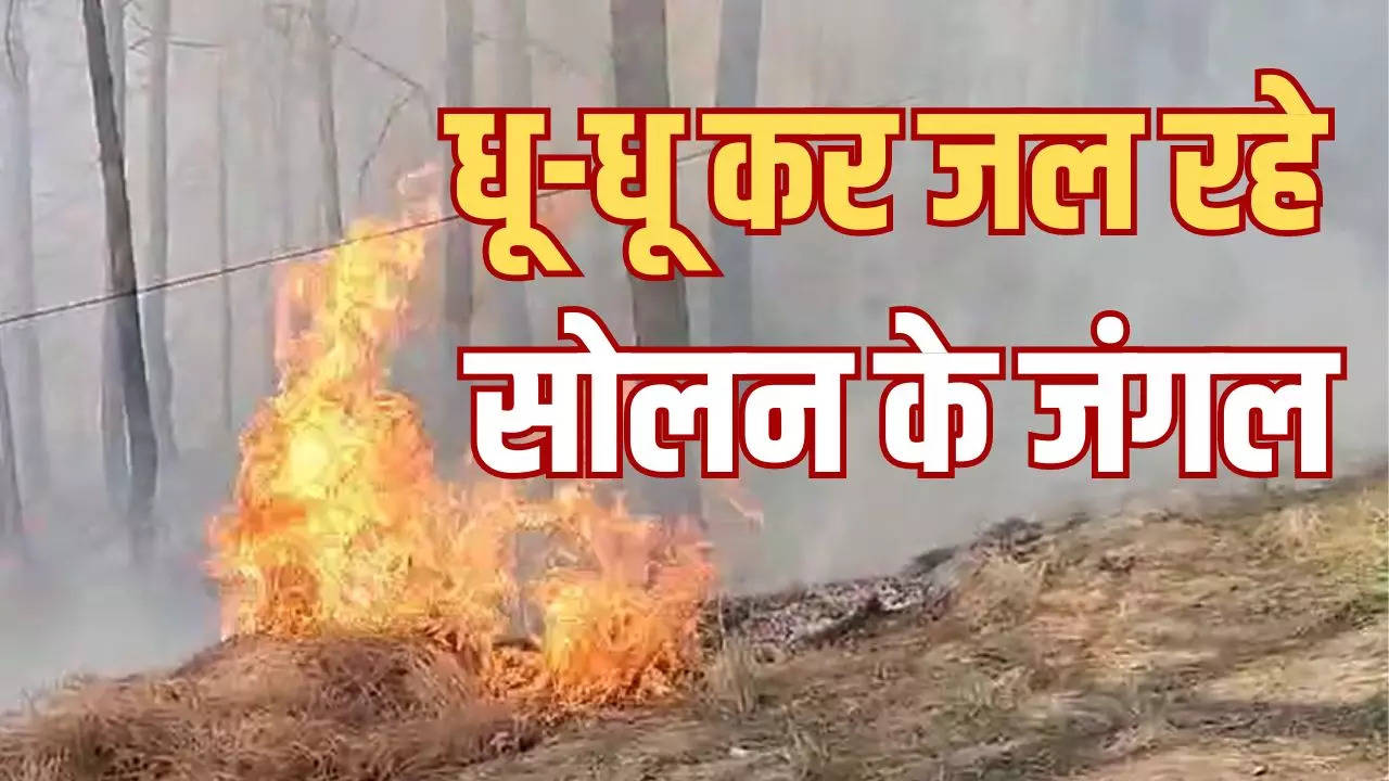 fire in himachal pradesh