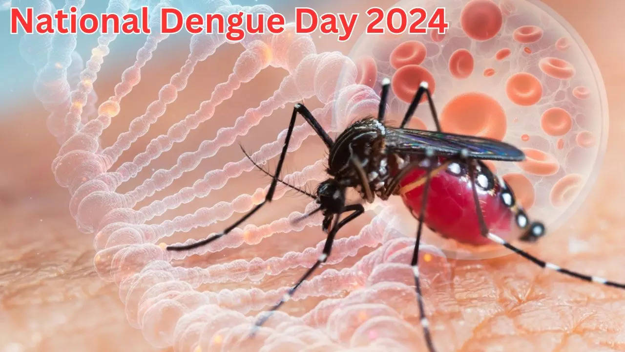 National Dengue Day 2024