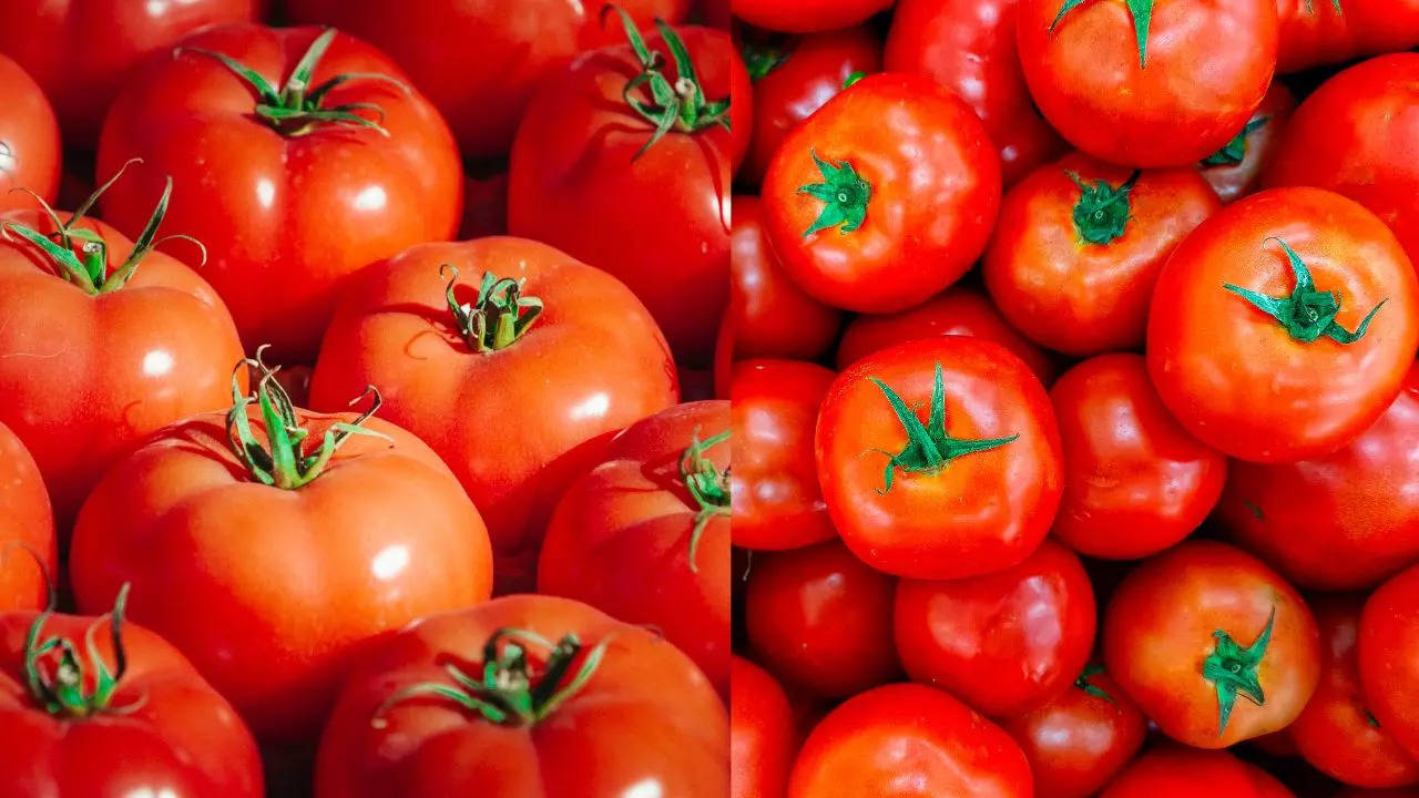 Tomato Prices, Tomato Latest rate