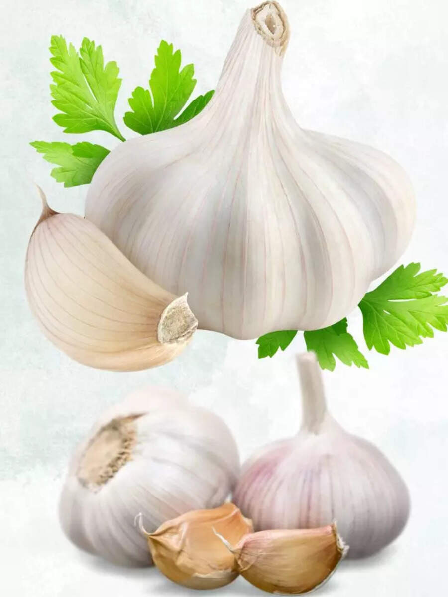 Which state is the largest producer of garlic in India, Where does