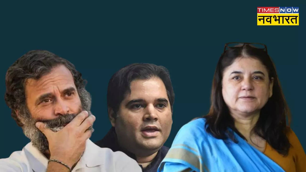 Maneka Gandhi on Rahul Gandhi and Varun Gandhi