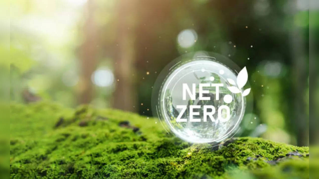 Net_Zero