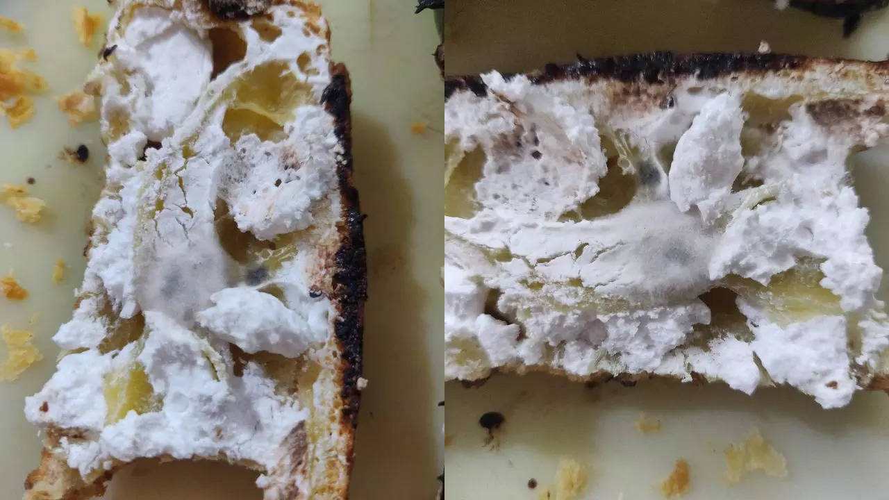 Fungus Infested Pastry