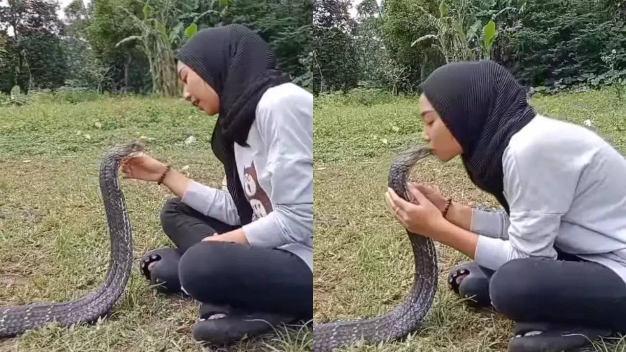 Snake girl Video