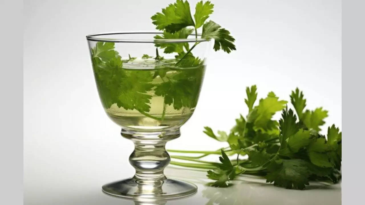 Benefits Of Drinking Coriander Water In Summer