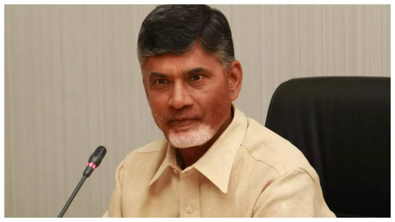 Chandrababu Naidu Reaction After NDA Meeting