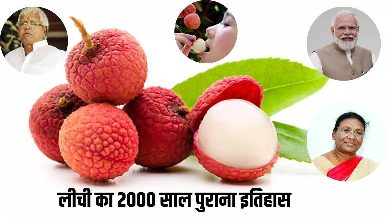 History of Litchi