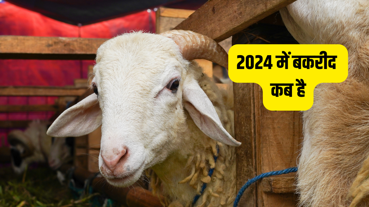 Eid Ul Adha 2024 Date in India, Saudi Arabia Eid Kab Ki Hai India Mein