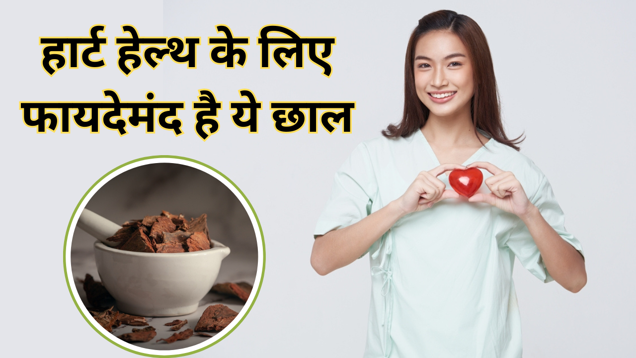 Arjuna Bark Benefits For Heart