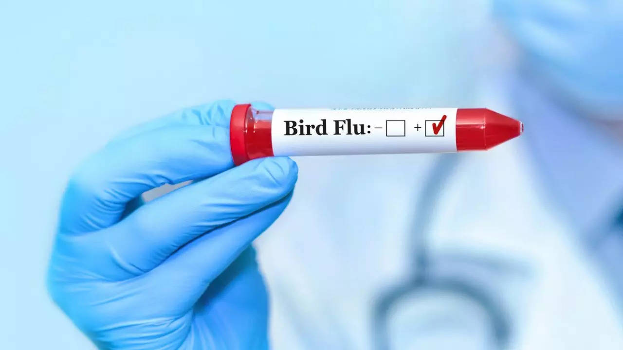 Bird Flu in India