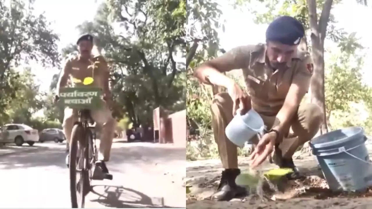 tree man of haryana