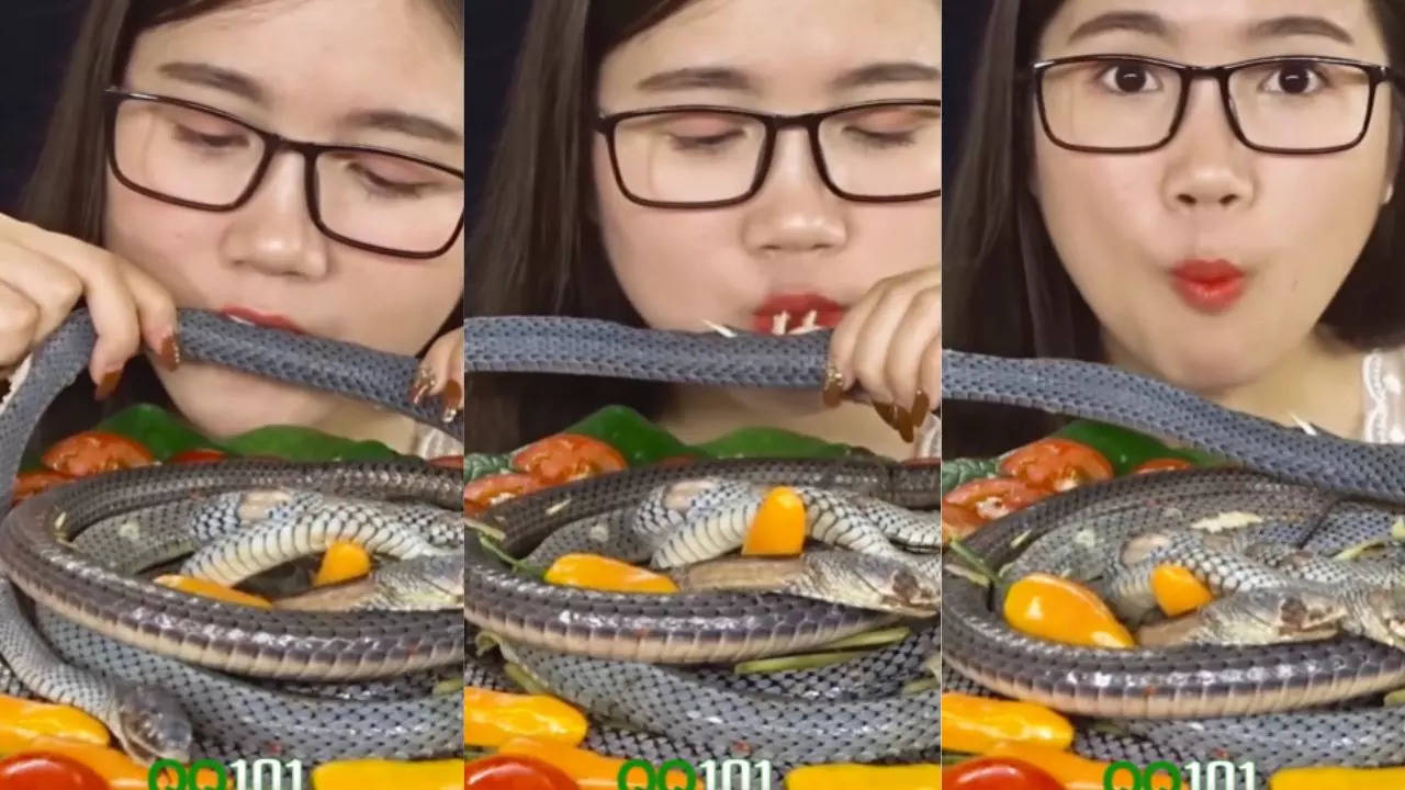 girl chewed raw snakes 