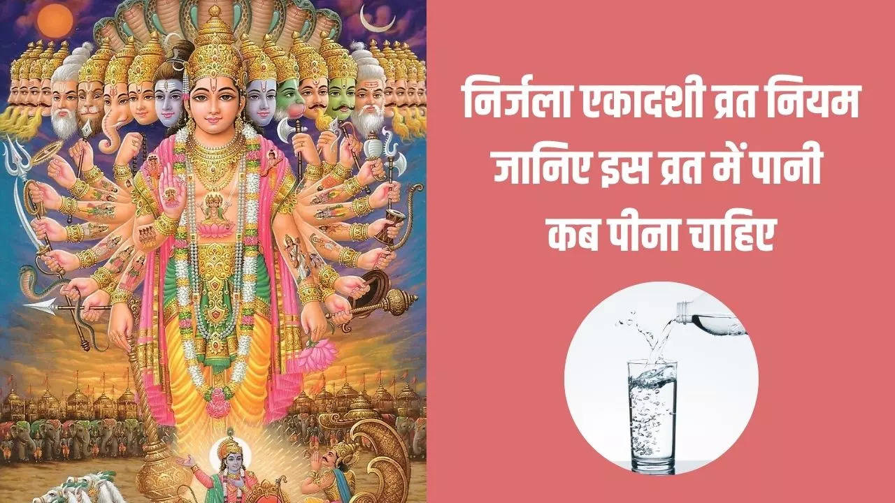 Nirjala Ekadashi Vrat Niyam