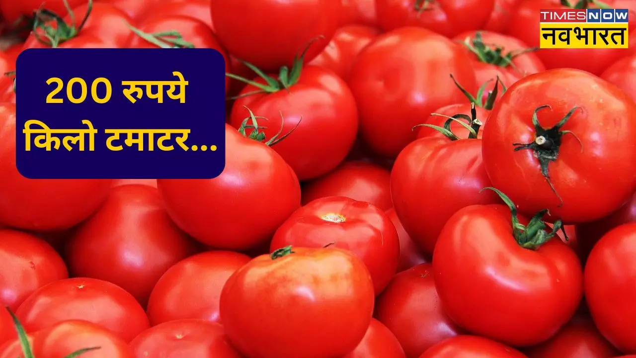 pakistan tomato price