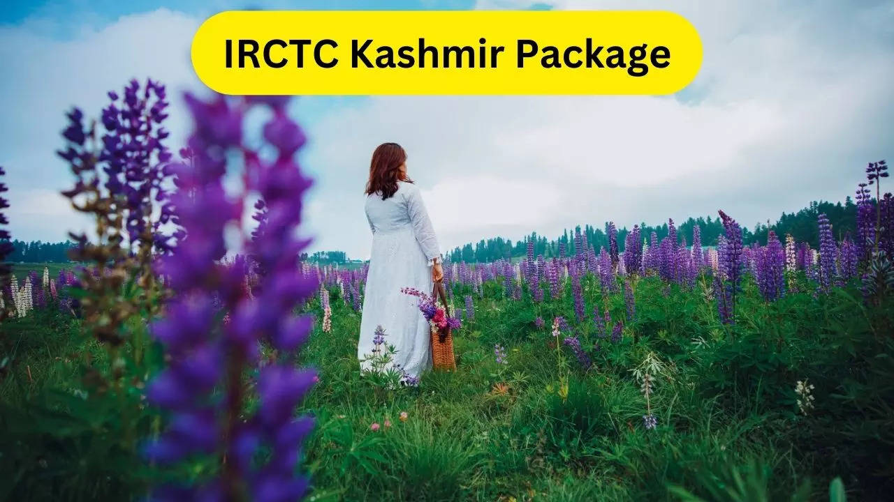 IRCTC Kashmir Package, IRCTC, Kashmir Package