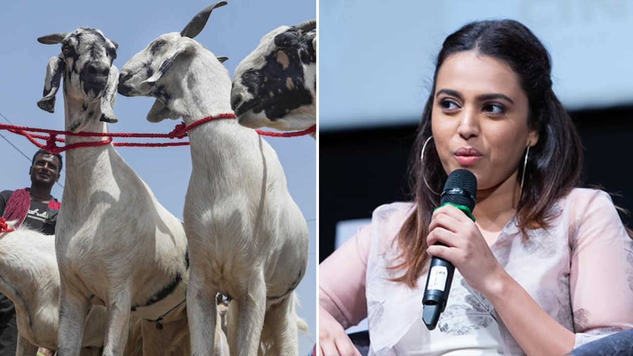 Swara Bhaskar Reacts on People who are Saving Goats