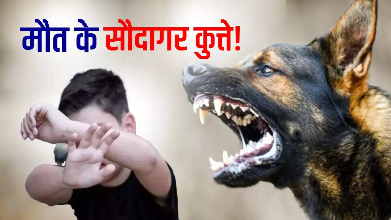 dogs Killed Girl in Khargone