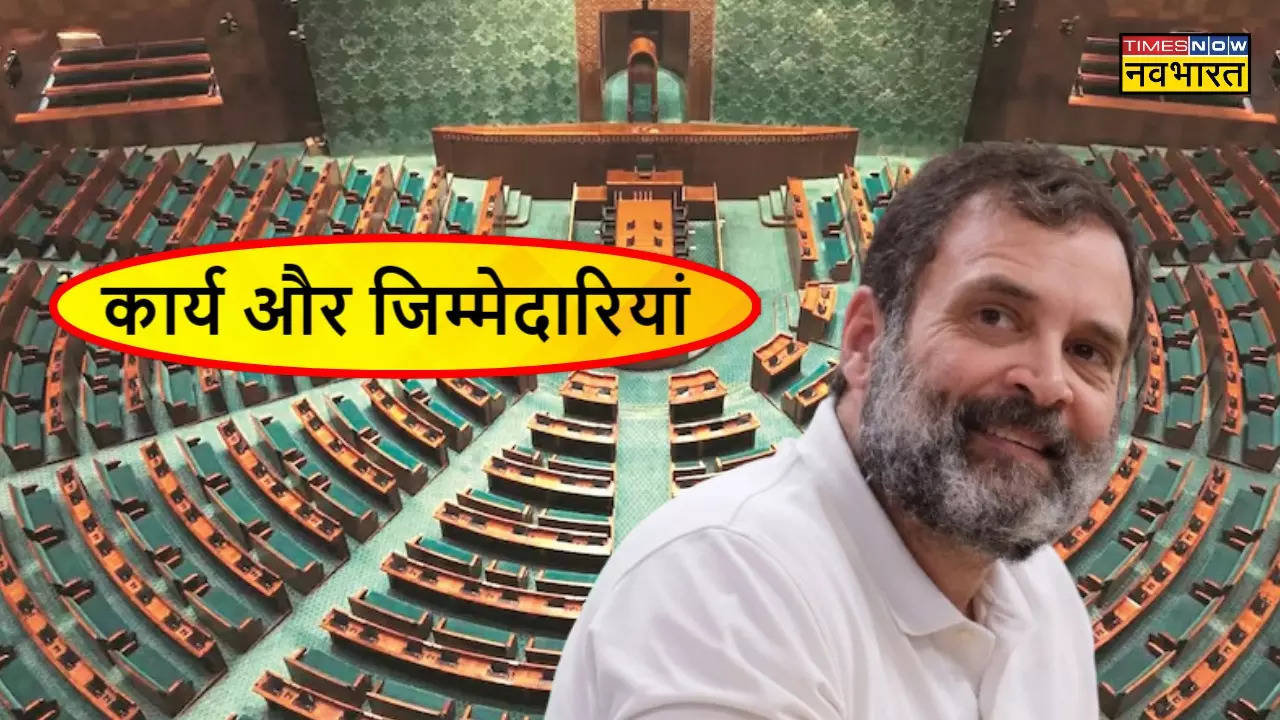 Rahul Gandhi leader of Opposition in lok sabha