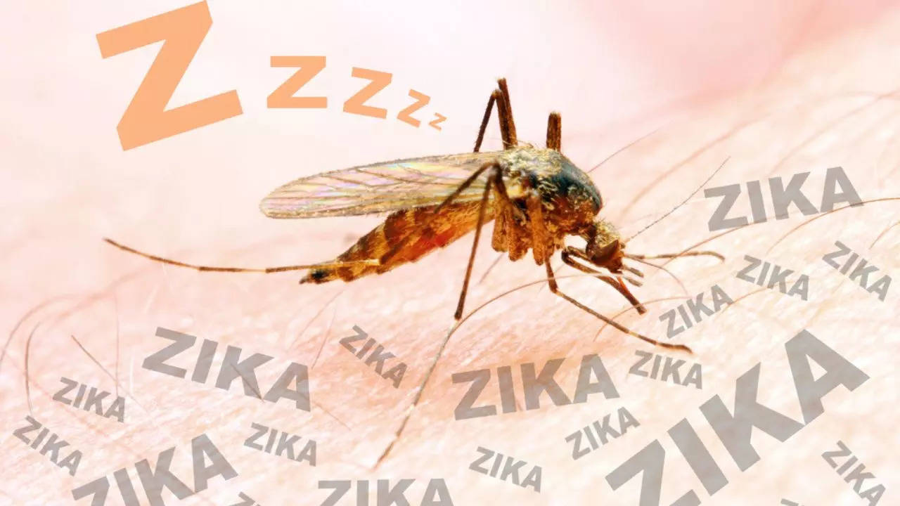 How To Prevent Zika Virus