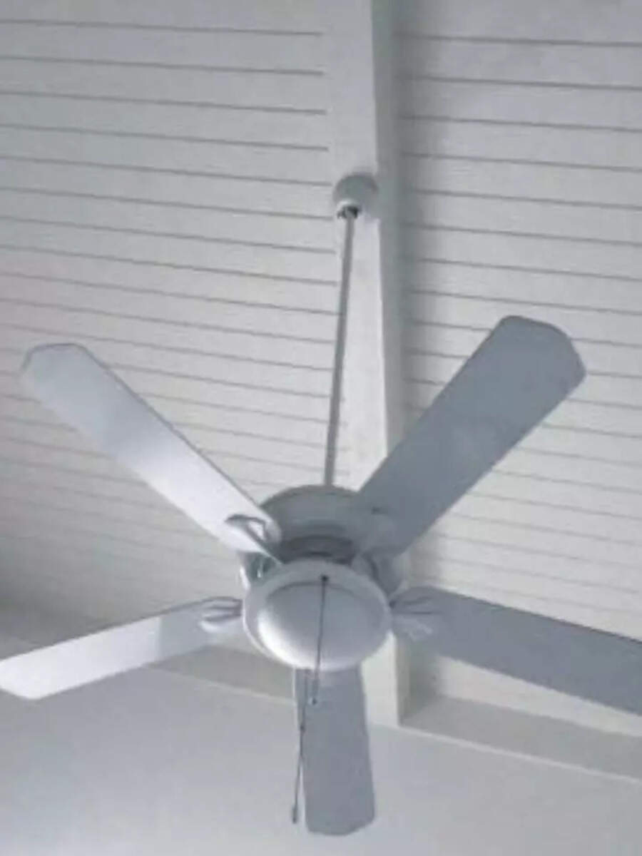 Why Fan Rotate Always Left Anticlockwise Know The Reason पंखा हमेशा बाईं ओर क्यों घूमता है, 99