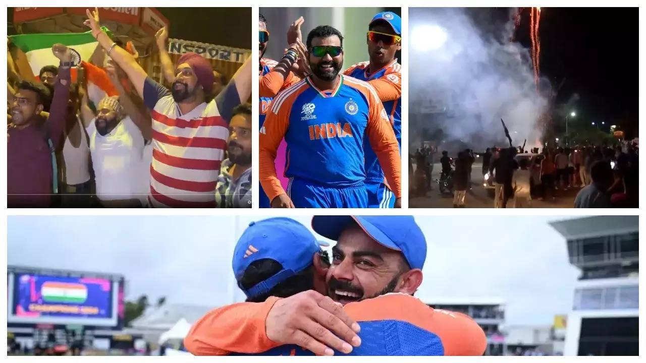 Indian cricket fans celebration video