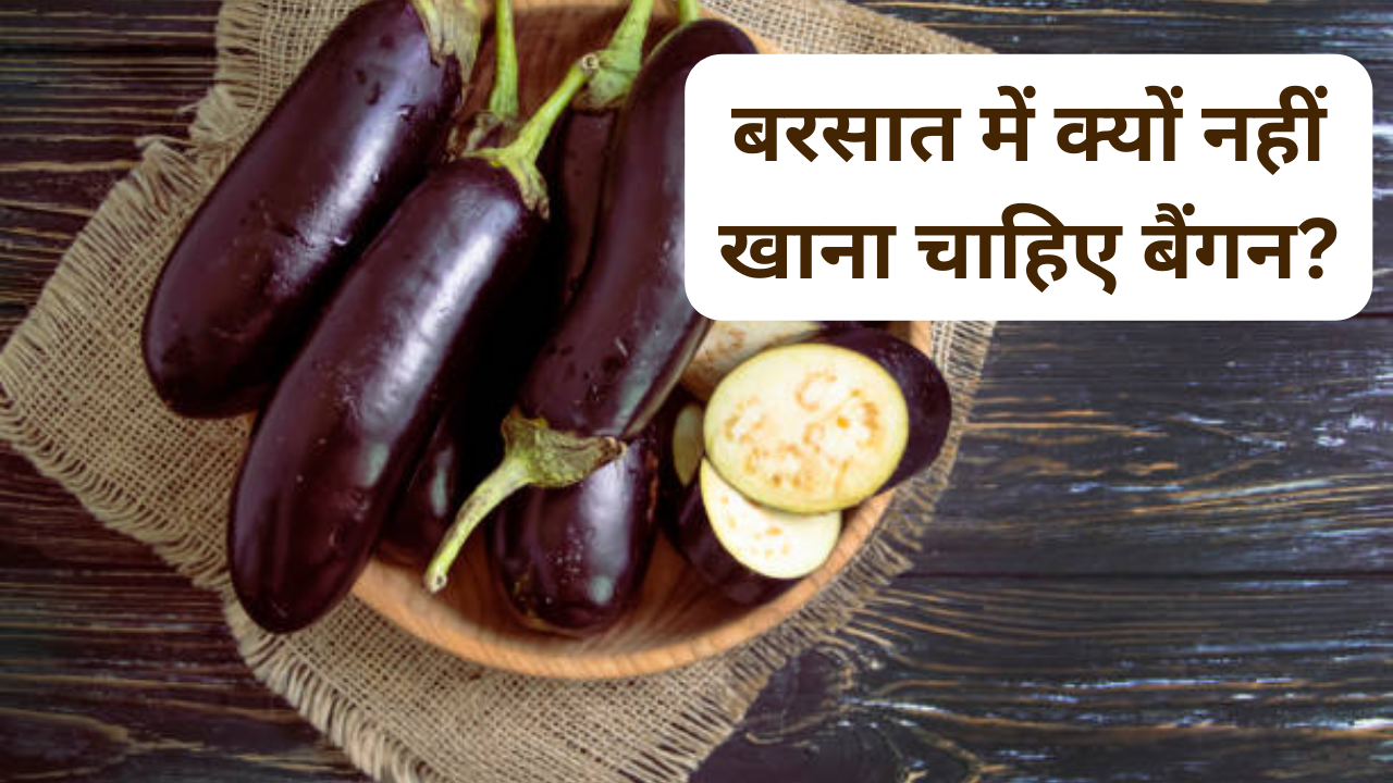 Brinjal in Rainy season