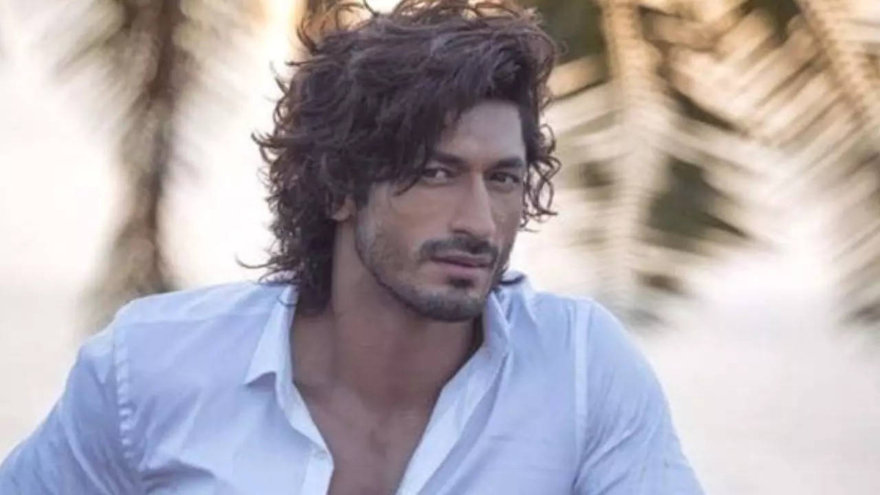 vidyut