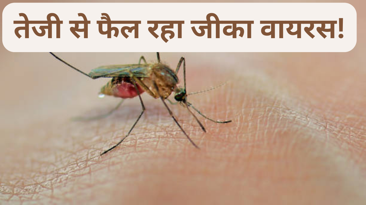 zika virus in pune