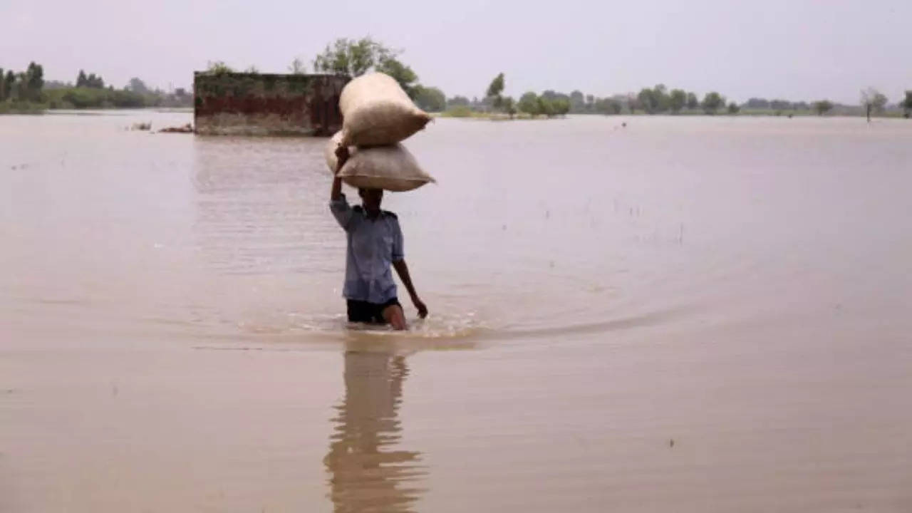 bihar flood