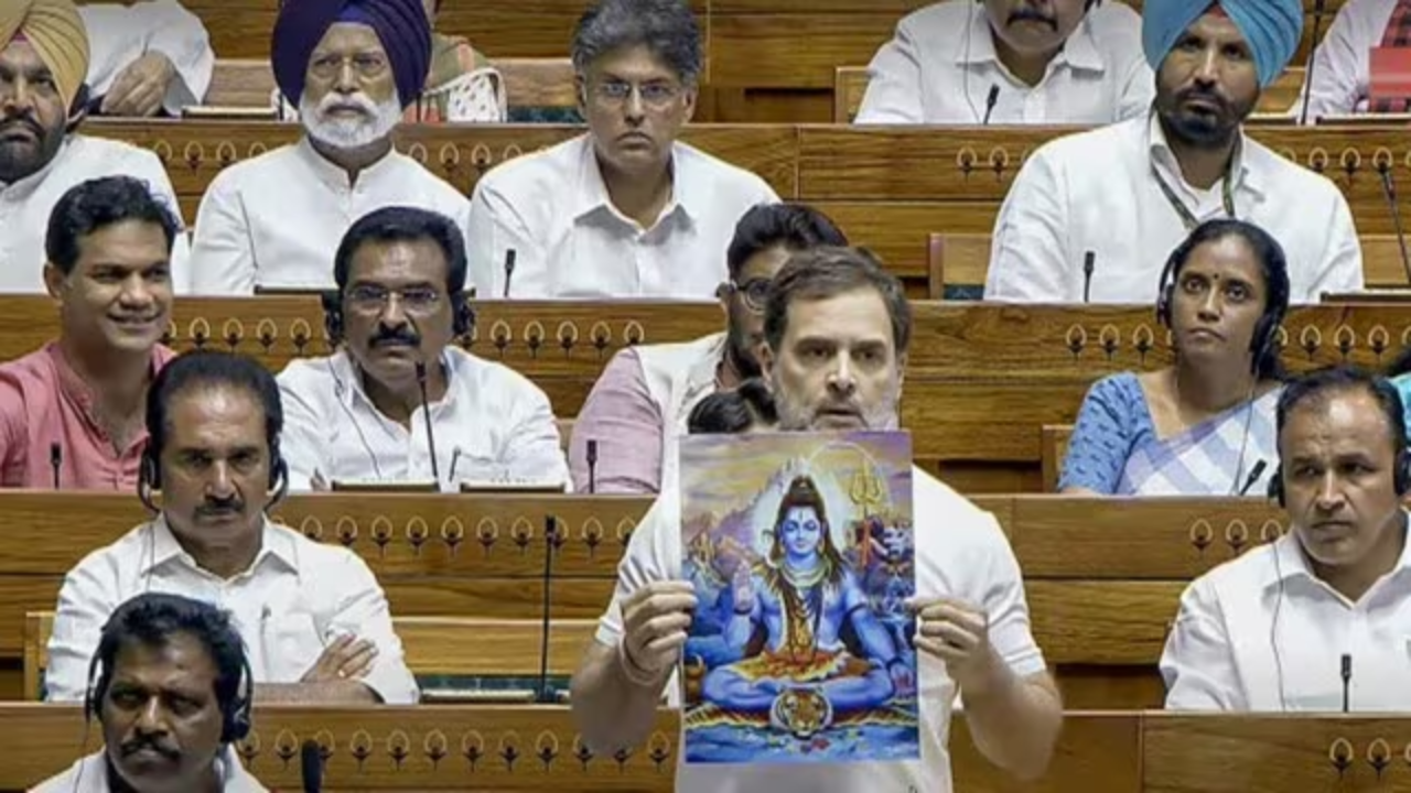 Rahul in Sansad