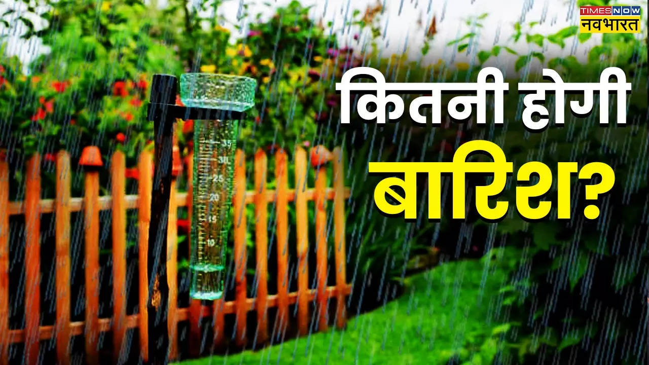 Rain Gauge