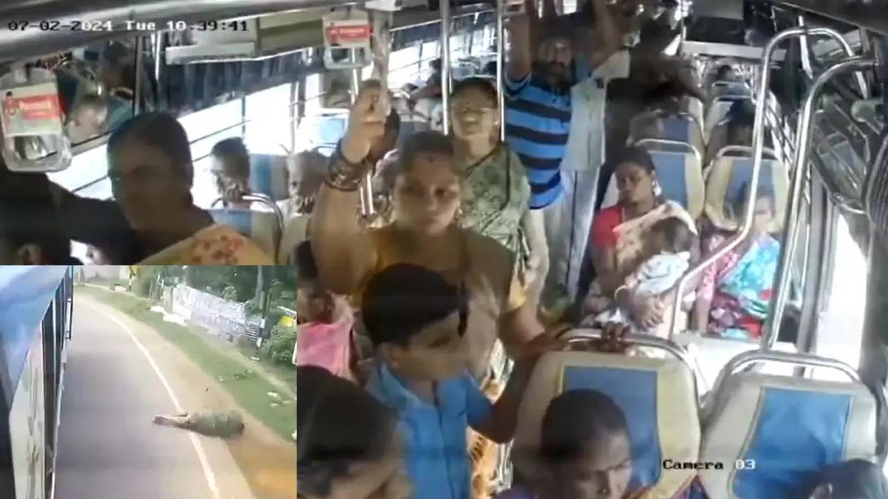 tn bus accident