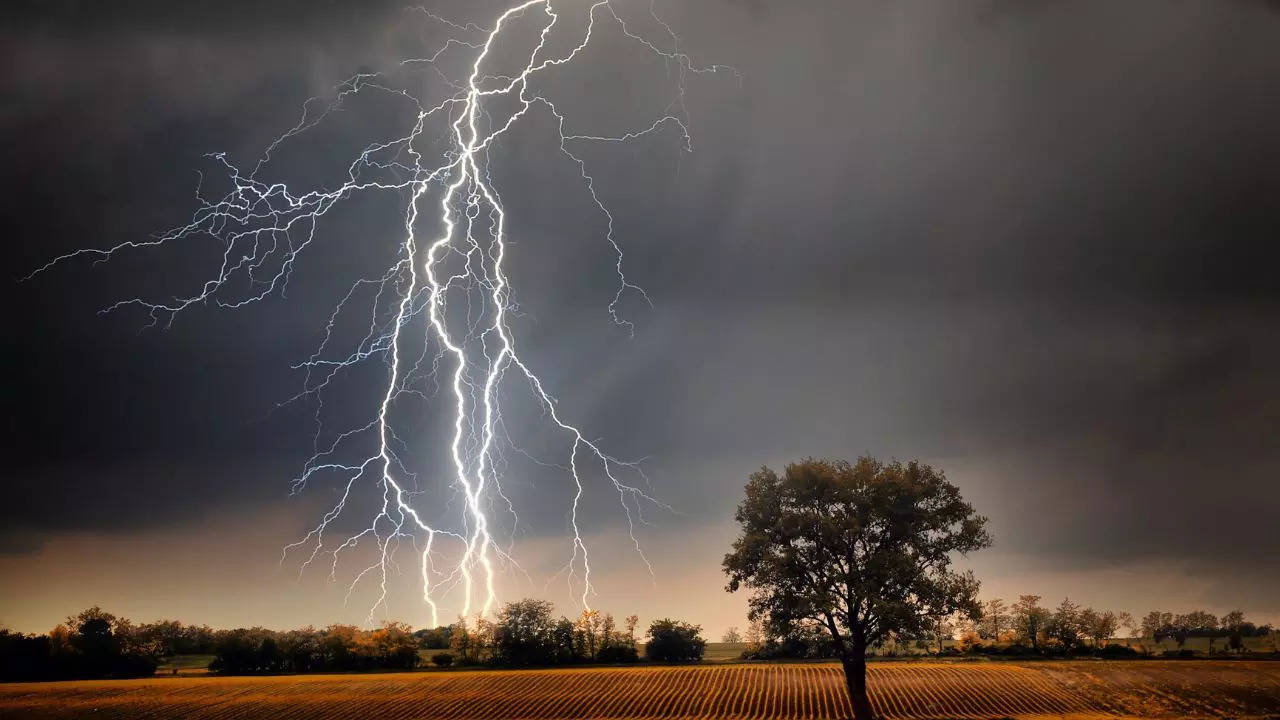 Nine People Died Due to Lightning in Bihar