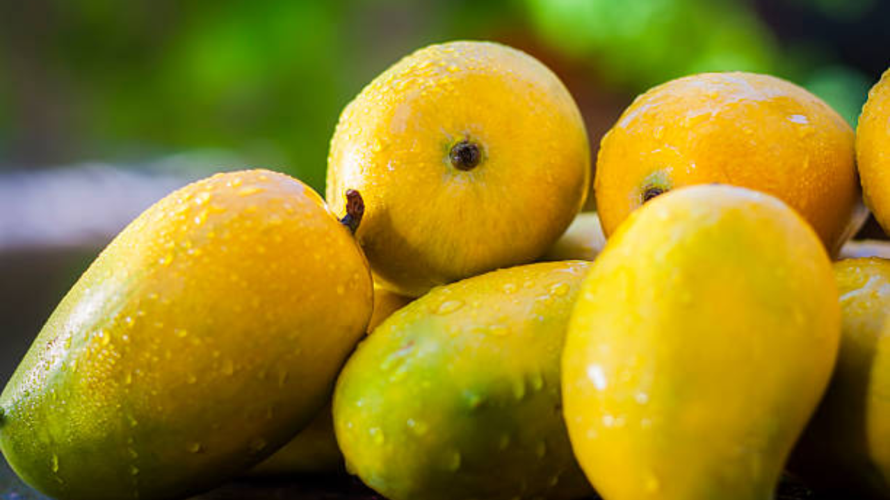 Malda mango of Bengal better prices