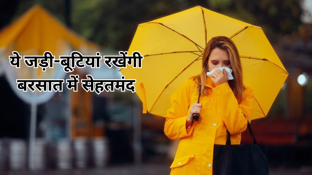 Ayurvedic Herbs For Rainy Season In Hindi