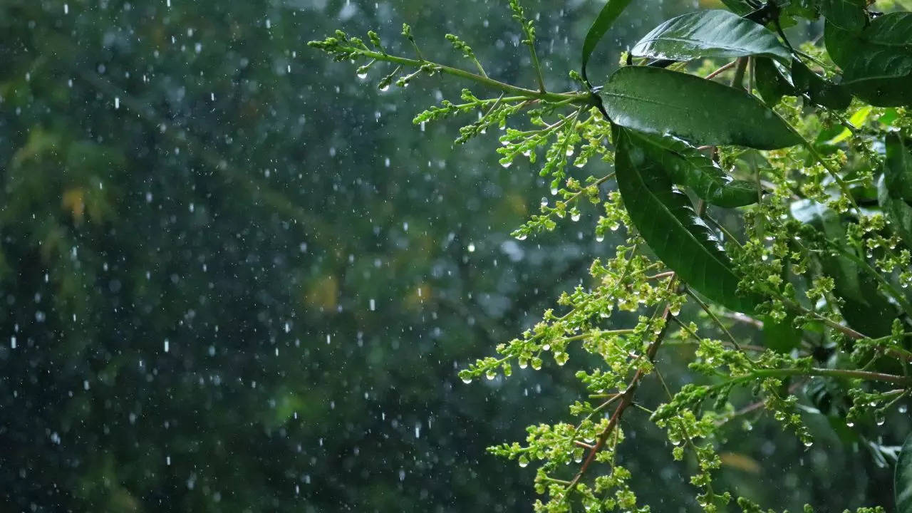 Uttarakhand Rain