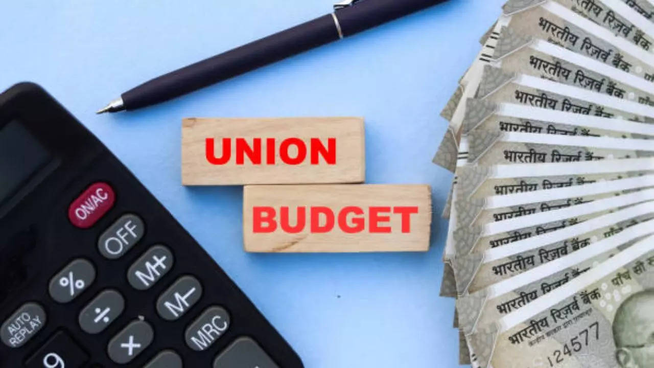 budget 2024, union budget 2024, budget date, union budget date, budget date announced