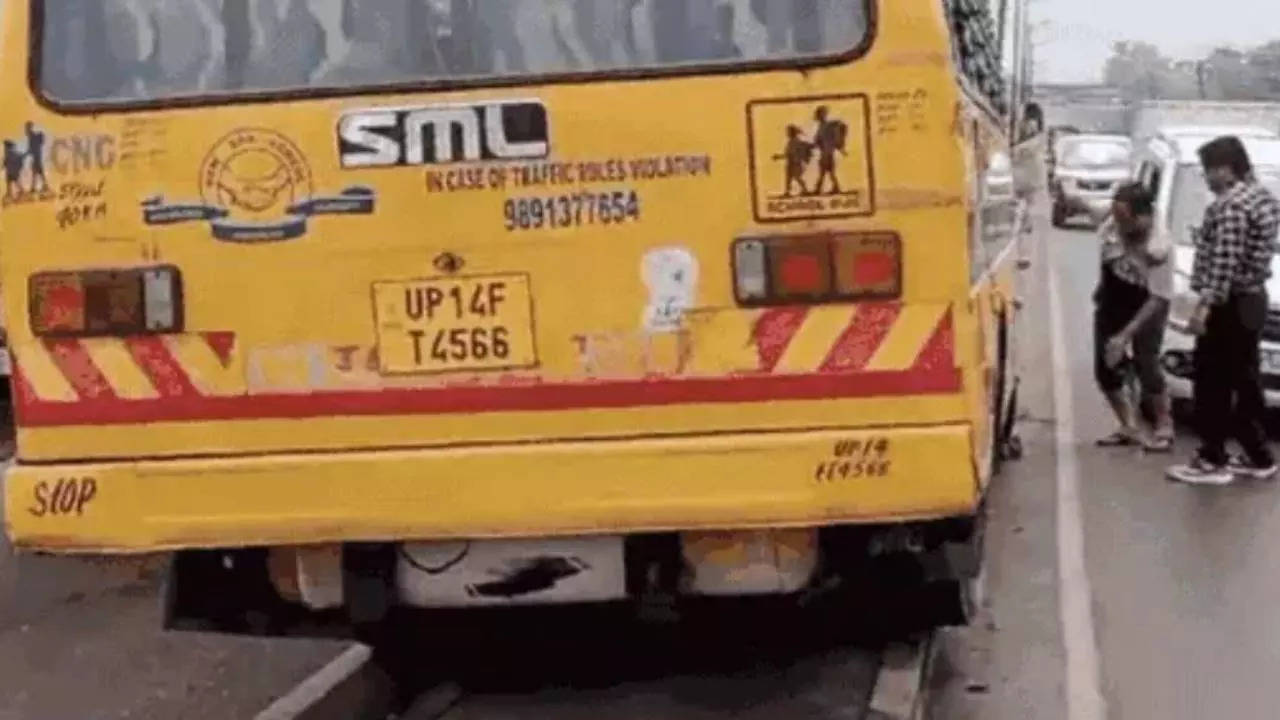 School Bus on divider